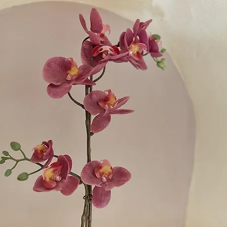 迪皮萨德都欧摩b&b酒店 3* 佛罗伦萨