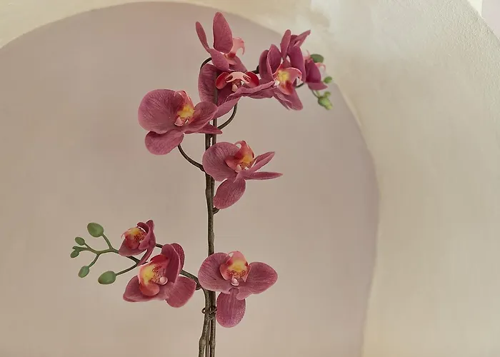 Di Piazza Del Duomo 3* Florencja